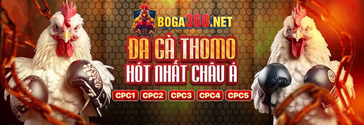 Khuyến mãi cá cược thể thao 49bet nhà cái